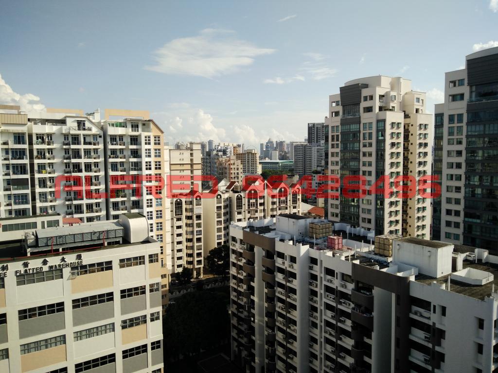 The Viridian (D12), Apartment #105078232